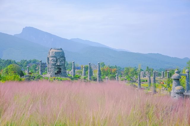 The popular Dieshi Flower Valley's Pink Muhly is about to dominate the screen~