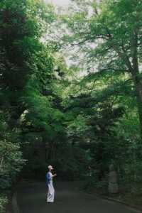 東京｜悠閒漫步·代代木公園到根津美術館 🚶‍♂️🌳🎨