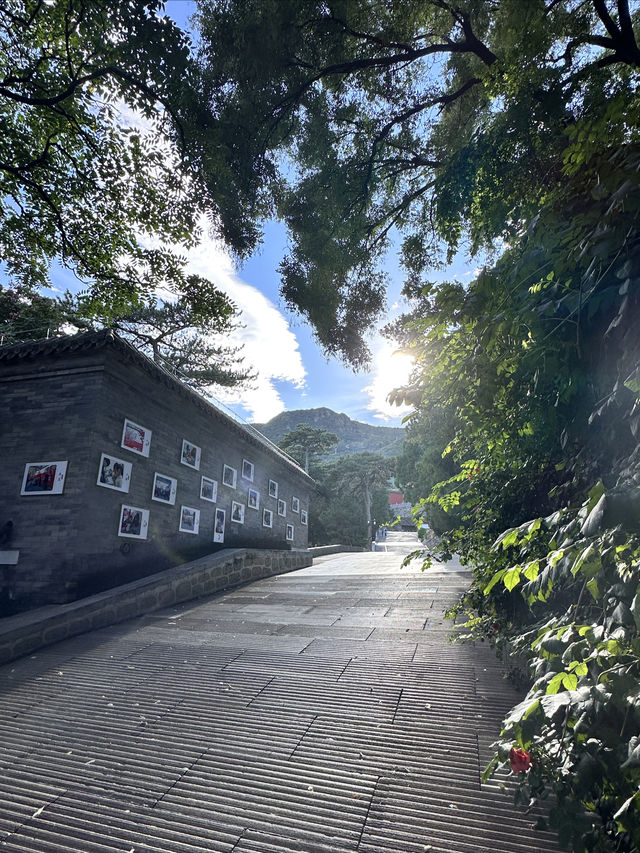 夏天尾聲，去八大處探秘，滑雪同登高之旅。