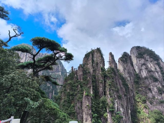 湖南郴州｜一座海拔1600米卻不用爬的山——莽山五指峰。