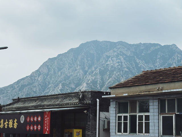 感覺穿越了一個世紀｜沒想到老佛爺也來過。
