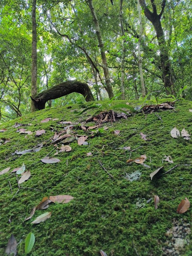 吸氧吸負離子好地方，避暑好去處！