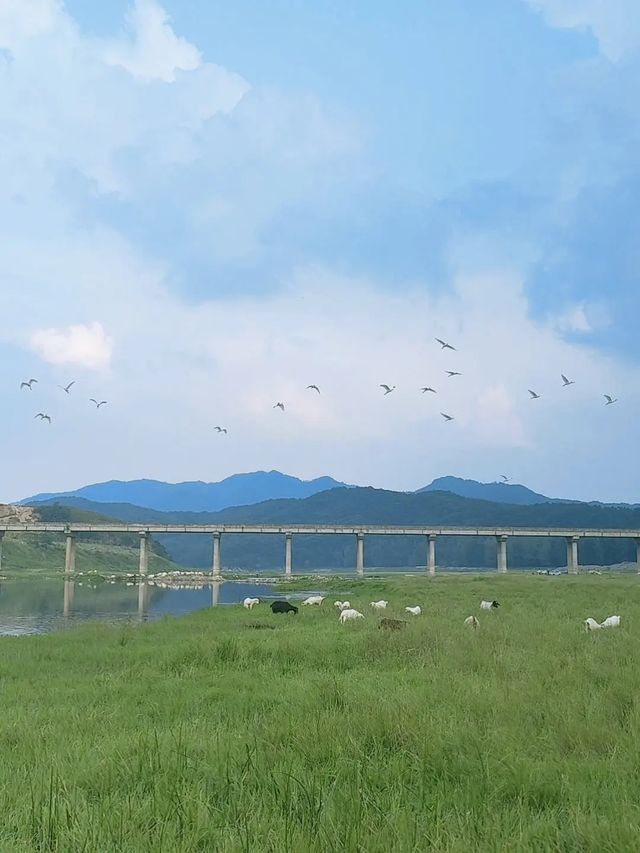 許昌附近不去可惜的免費露營地。
