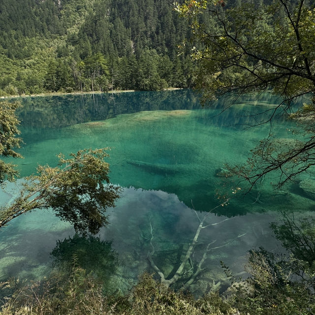 The best land scape of my life in Jiuzhaigou