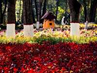 Stunning Park in Xining!