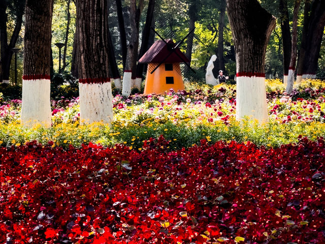 Stunning Park in Xining!