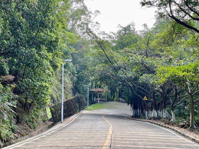 江門鶴山大雁山 | 盡情享受大自然，精彩冒險等你來。