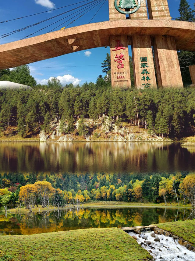 伊春旅遊新寵，綠色生態等你來體驗！