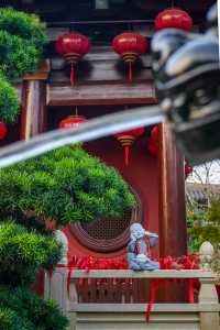 秋天的松江，美得不可思議！