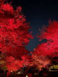 The world is never short of "beauty"