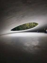 Get Ready for the 2025 Setouchi Triennale: Ticket and Island Hopping Guide!