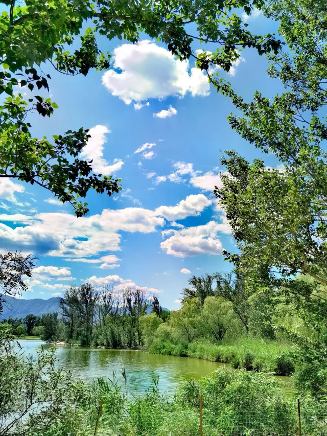 7 Days in Kunming-Puer-Lincang: A Must-See!