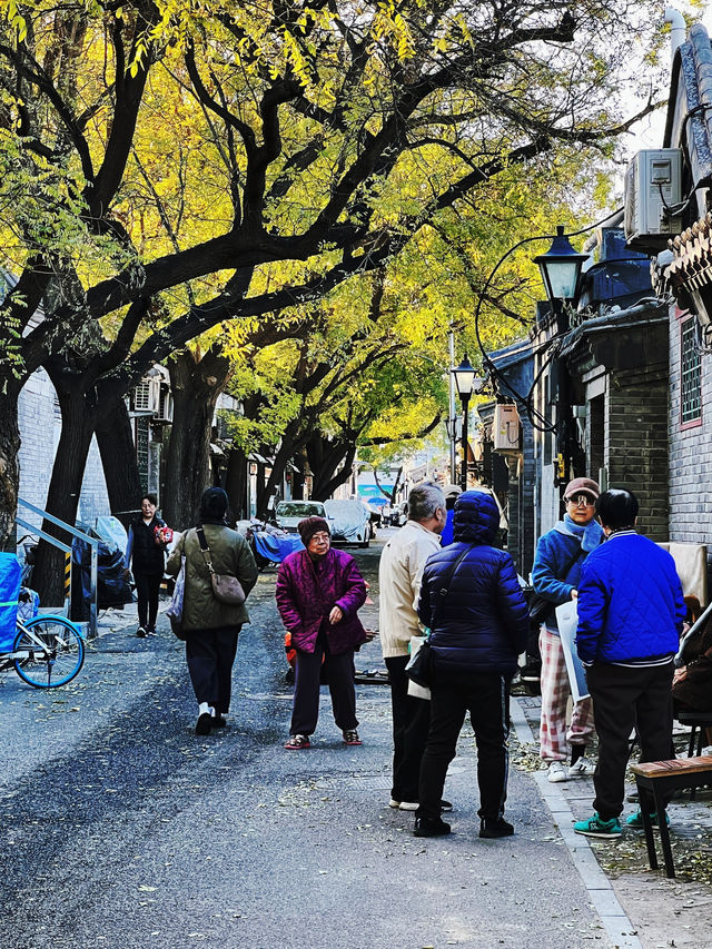 史家胡同，大氣端莊。