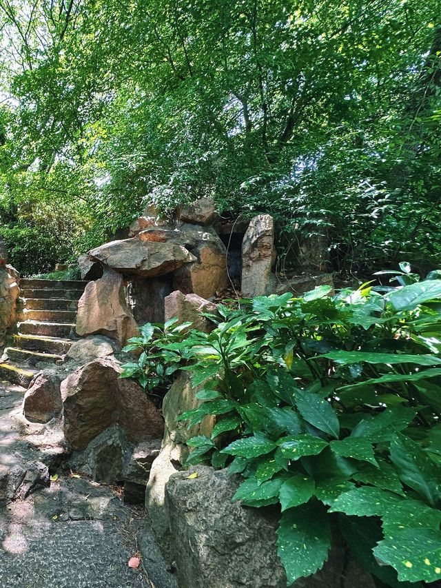 成都 | 賞銀杏遊玩的好去處（附蛟龍港活水公園攻略）。
