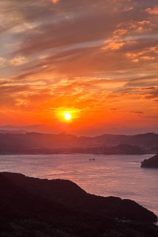 일본 에히메 | 사랑과 예술의 고장 여행 가이드