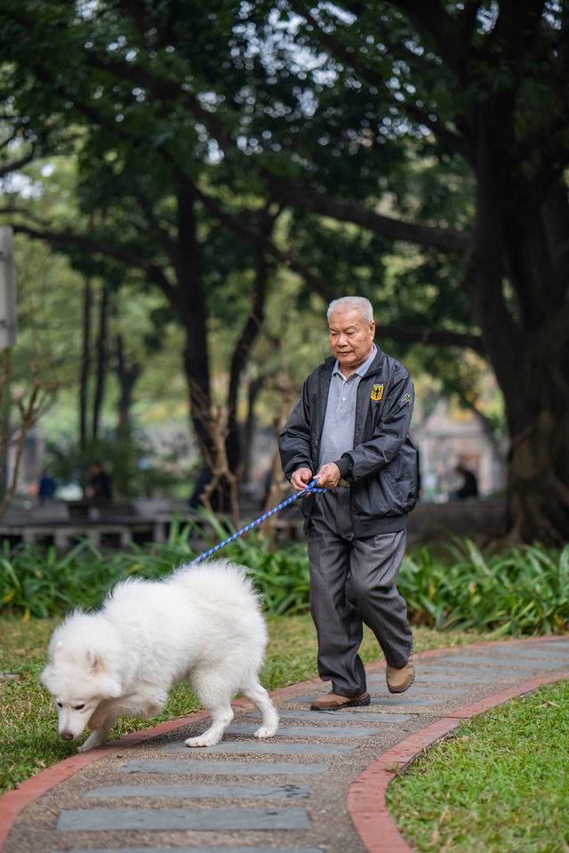 佛山超「植」愈的網紅老社區，盡顯森系花境。