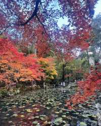 永观堂&南禅寺｜天授庵