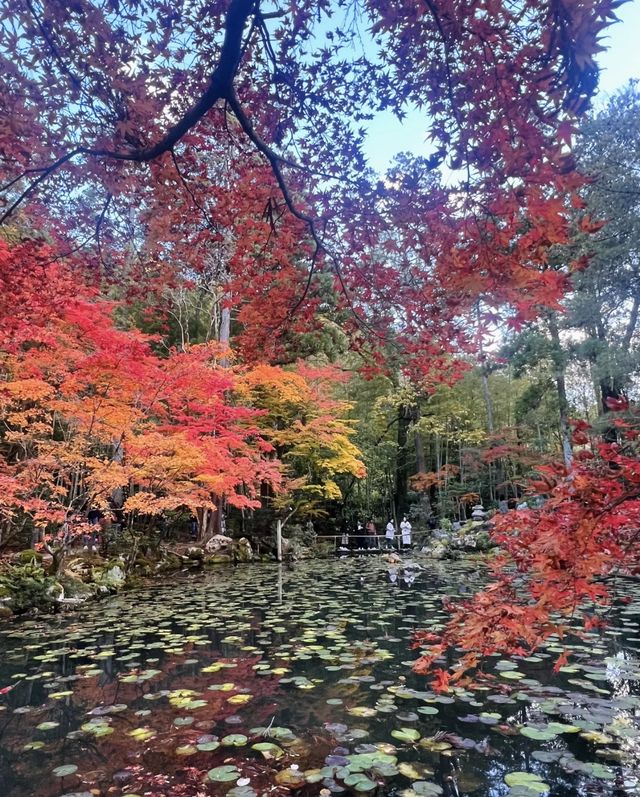 永观堂&南禅寺｜天授庵