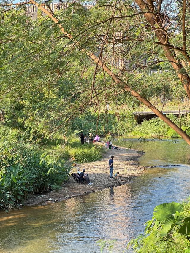 深圳南灣樂清公園