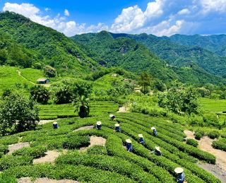 湖北·遠安寶藏級小眾旅遊景點先收藏下次來