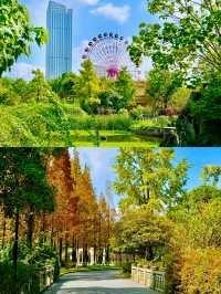 那些值得反復去的廈門公園|南湖公園