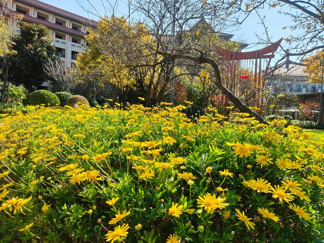 古滇皇冠假日 古滇皇冠假日