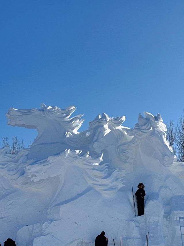 哈爾濱太陽島雪博會（12月27日至2月26日）