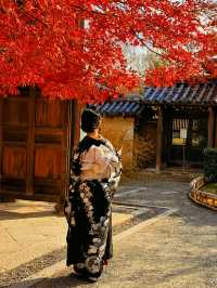 京都·二尊院紅葉的馬場｜體驗和服之美！
