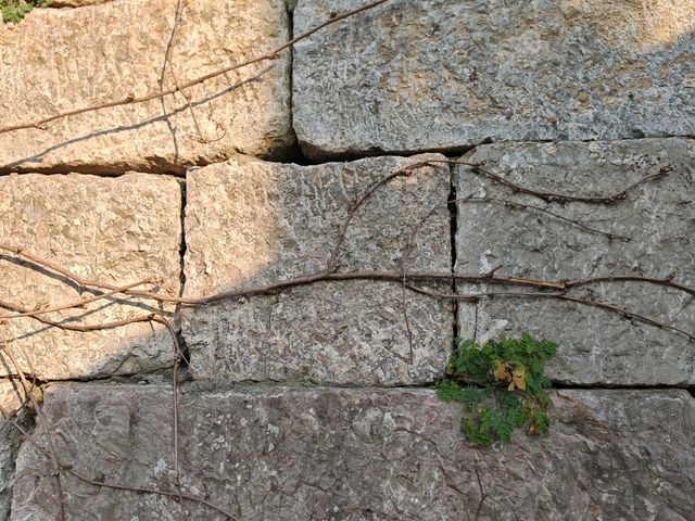 古老明城醉碧空