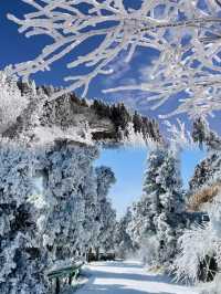 高鐵2h直達最適合廣東人的賞雪聖地