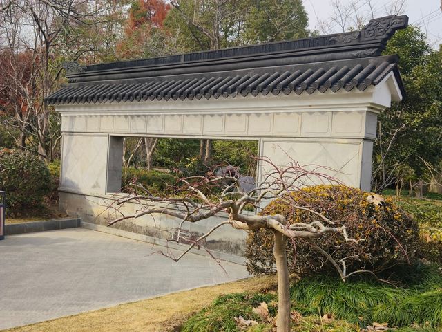 小眾公園有臘梅展
