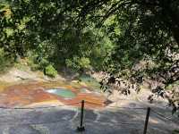 2. 解鎖白江湖森林公園，這些打卡點不容錯過！
