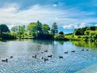 Auckland Botanic Gardens: A Scenic Escape