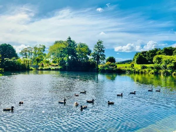 Auckland Botanic Gardens: A Scenic Escape
