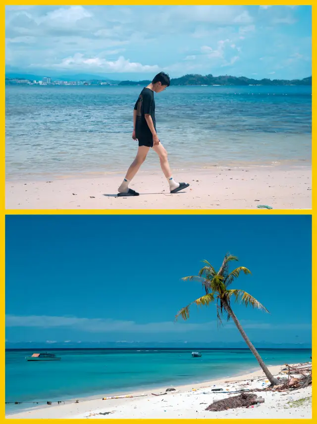 亞庇3天旅行攻略｜攝影潛水