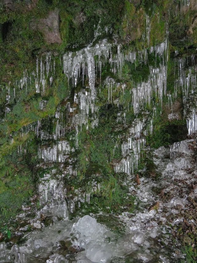 成都出發2h在白雪森林中發現藍冰瀑布