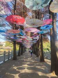蛇年添喜慶一一東山湖公園！
