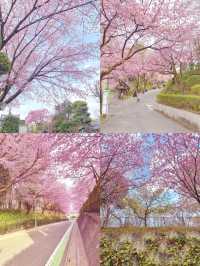 川口市：東京旁的隱秘逸境