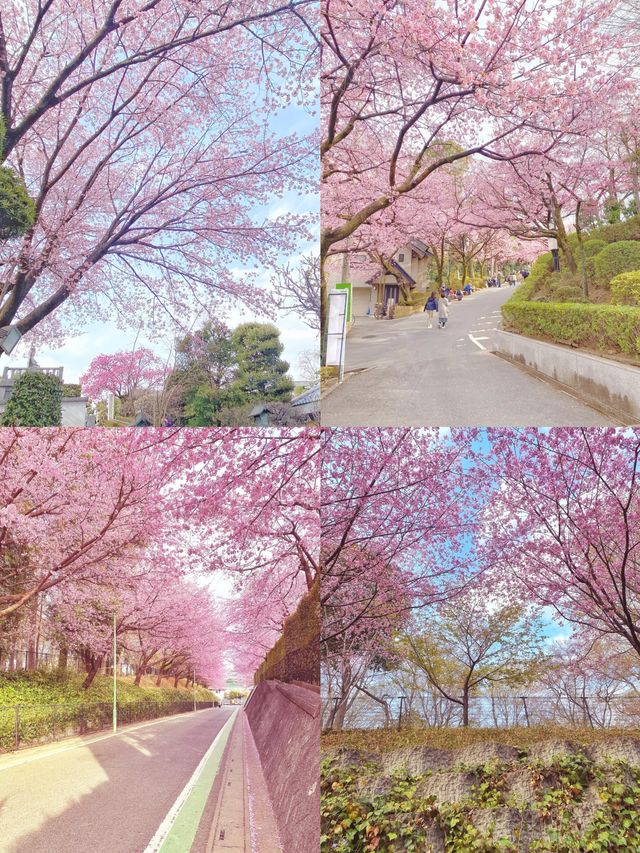 川口市：東京旁的隱秘逸境