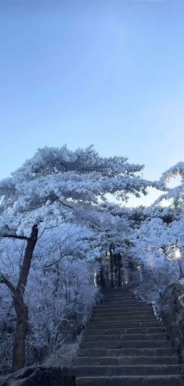 世界上最奇幻的仙山畫卷黃山景區