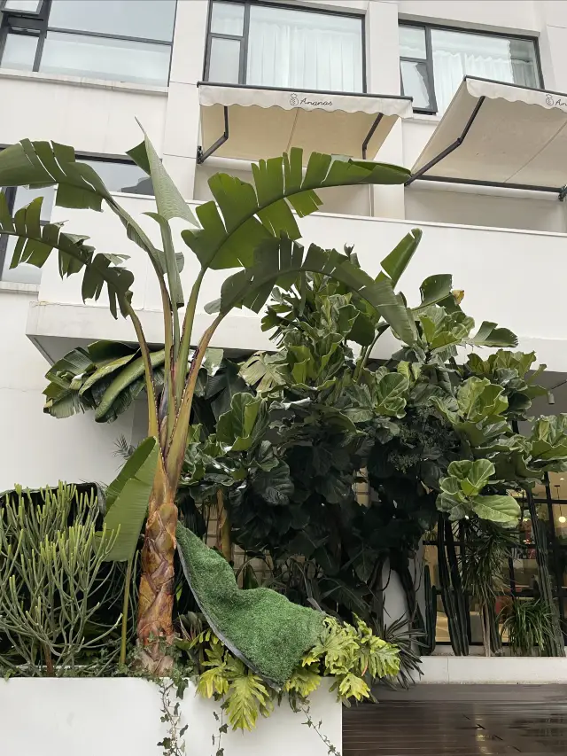 物超所值的安舍酒店很驚喜