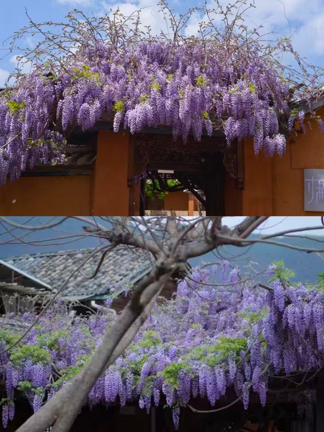 沙溪小鎮·寶藏民宿