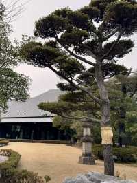 在靜謐中感受東京的藝術氣息