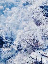 在光霧山，邂逅冬日限定的童話夢境