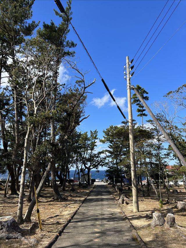 打卡千疊敷 三段壁不虛此行