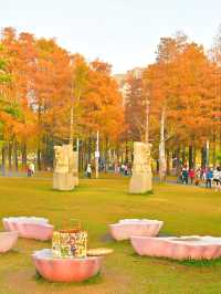 四海公園：飲咖啡、逛公園、曬太陽……