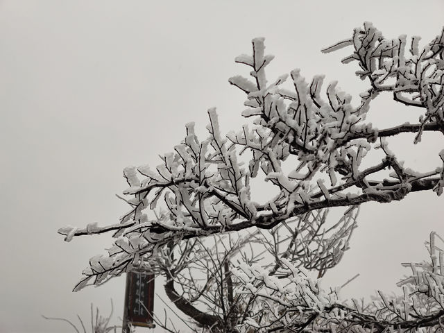 鸬鳥山