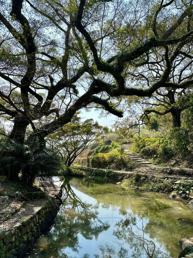 踏春踏青，大地回春，萬物復甦