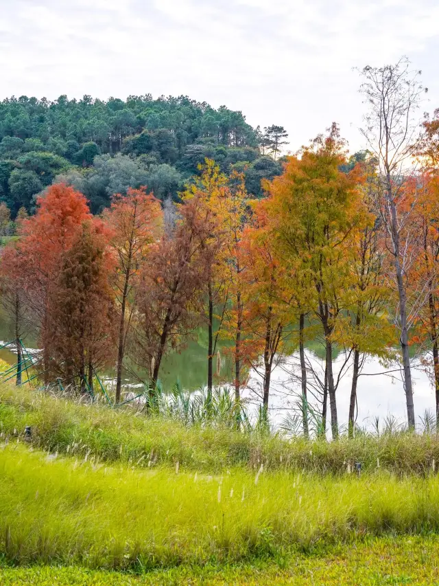 Where to go during the winter break? Changchun and Changbai Mountain await your exploration! 