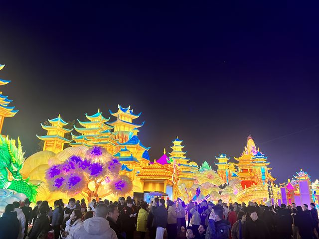 自貢燈會真的太震撼了